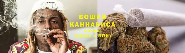 сатива Белокуриха