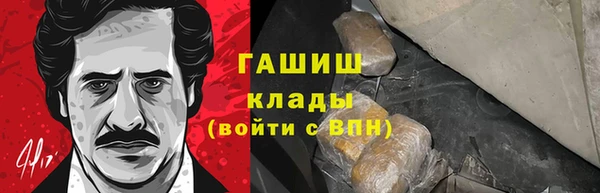 сатива Белокуриха