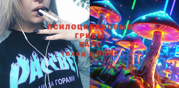 сатива Белокуриха