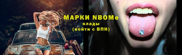 сатива Белокуриха