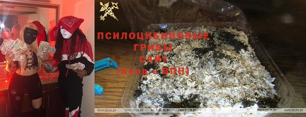 сатива Белокуриха