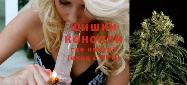 сатива Белокуриха
