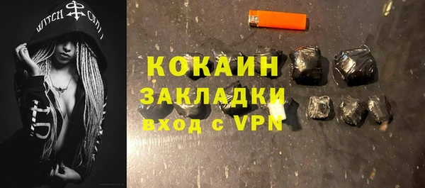 сатива Белокуриха