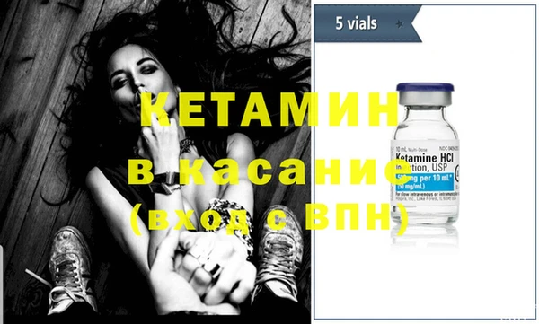 сатива Белокуриха