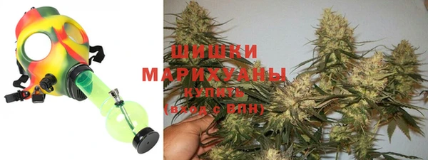 сатива Белокуриха